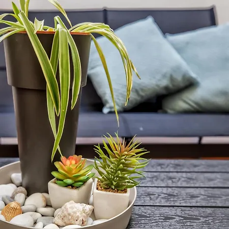 Jade Apto & Two Patios Cordoba